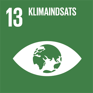Sustainable Development Goal 13