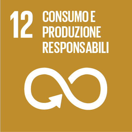Obiettivi di Sviluppo Sostenibile 12