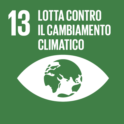 Obiettivi di Sviluppo Sostenibile 13