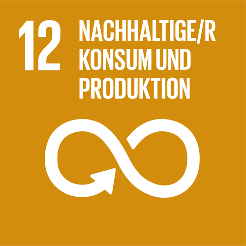 SDG 12 Icon