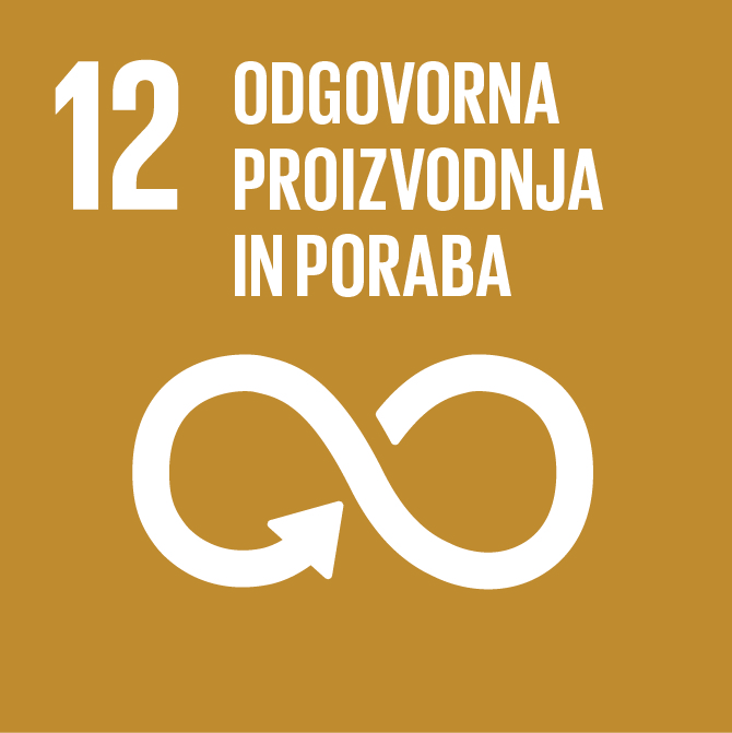 SDG 12 Icon