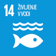 SDG 14 Icon