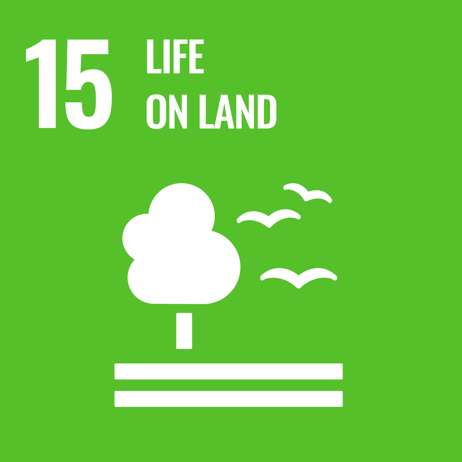 SDG 15 Icon