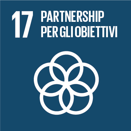 SDG 17 Icon