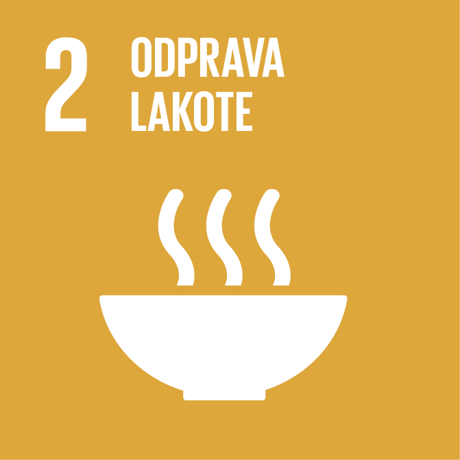 SDG 2 Icon
