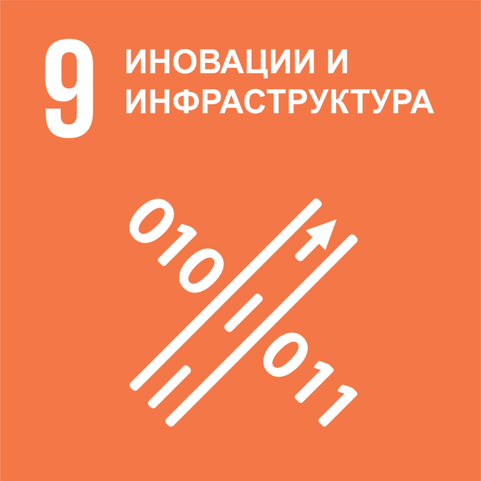 SDG 9 Icon